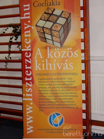 Lisztérzékenyek jótékonysági bálja 05